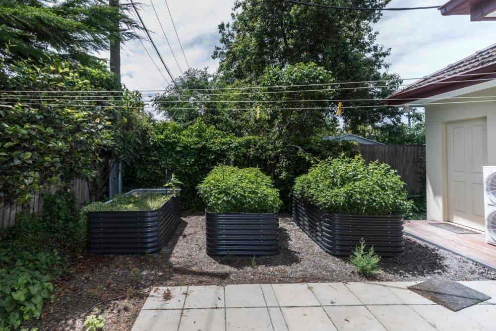 3 Bdrm 2 Bthrm House Close To Canberra Cbd & Anu Extérieur photo